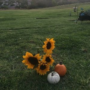 Meet your Posher, Valerie